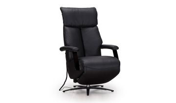 Lazarus Swivel/Riser Recliner Chair - 4 Motor