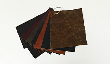 Charleston (Brand) Leather Samples